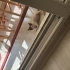 2 aylık yavru kedi fotoğraf