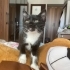 Tomris Hanım Size Gelecekmiş fotoğraf