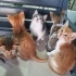 1 AYLIK MİNİ MİNİ PRENSLER..!! fotoğraf