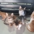 1 AYLIK MİNİ MİNİ PRENSLER..!! fotoğraf