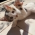Geçici Evinden Küçük Oğlan fotoğraf