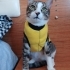 HİKAYESİ MUTLU SONLA BITSİN MI, ÇIKAR MI KARŞISINA KUCAK AÇACAK MELEGİ fotoğraf