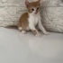 Ona yuva olur musunuz fotoğraf