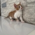 Ona yuva olur musunuz fotoğraf