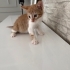 Ona yuva olur musunuz fotoğraf