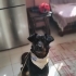 Renkli kişiliği ve Berduş yuva arıyor fotoğraf