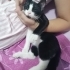 Dışarda ağlarken buldum, yuva lütfen fotoğraf