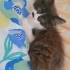 Yaramaz kucak delisi Simba yuva arıyor fotoğraf