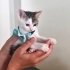 Gözlerinin içine bakar fotoğraf