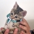 Mırmır makinesi🥰 fotoğraf