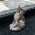 Sağlıklı oyuncu minik fotoğraf