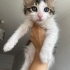 3aylık bebeğimize yuva arıyoruz fotoğraf