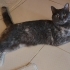 Çok acil soķağa dönmesin bu kız fotoğraf