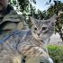 EV KEDİSİNE ÖMÜRLÜK YUVA fotoğraf