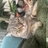 BİHTER ZİYAGİL () fotoğraf