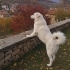 Bulut Yuva Arıyor fotoğraf