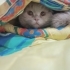 Tatlı oğlan ACİL yeni yuvasını arıyor 😍 fotoğraf