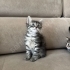 İZMİR TİGER TABY YAVRULARIMIZ EVDE DOĞDULAR BÜYÜYORLAR fotoğraf