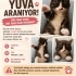 SİZE GELEBİLİRMYİM…. fotoğraf