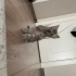 acil yuva aranıyor kum eğitimi tam fotoğraf