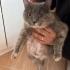 Anne ve 3 dişi yavruya acil yuva arıyoruz fotoğraf