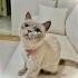 AÇIKLAMAYI OKUYUNUZ LÜTFEN fotoğraf