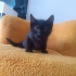 GECEMİZE YUVA ARIYORUZ fotoğraf