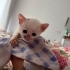 Benek Bebişe Bir Anne Olsa fotoğraf