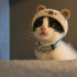 Erkek,3aylık,aşıları tam,panda gibi bebek fotoğraf
