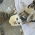3 Bebişimize yuva arıyoruz fotoğraf