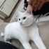 Bebeğimiz Ailesini Arıyor fotoğraf