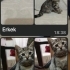 Minicik bir kızım lütfen beni yuwanıza alırmısınız fotoğraf