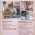 **KUCAK KEDİSİ, İNSAN AŞIĞI BİR PRENS** fotoğraf