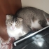 Sahibi tarafından evden atılmış bu üzgün prenses fotoğraf