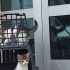 🐾🏡  Çok acil! Bir Cana yuva olmak ister misiniz? fotoğraf