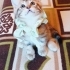 Çok oyuncu sevimli fotoğraf