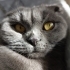 DUMANA YENİ BİR YUVA fotoğraf