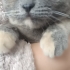 Güzel kızımıza ömürlük yuva fotoğraf