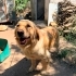 Güzel kızımıza ömürlük yuva fotoğraf