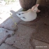 Gözler ve sakinlik fotoğraf