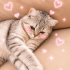 Ücretsiz sahiplenme British kedi fotoğraf