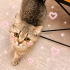 Ücretsiz sahiplenme British kedi fotoğraf