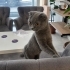 AYLARDIR KLİNİKTEYİM ,ÖMÜR BOYU AİLEM OLUR MUSUN? fotoğraf