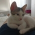 Yuvam Olur Musun? fotoğraf