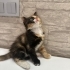 Ona yuva olmak ister misiniz fotoğraf