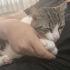 Kucak delisi Afacan Maximillian fotoğraf