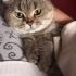Tamamen ücretsiz fotoğraf