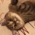 Tamamen ücretsiz fotoğraf