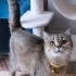 Tamamen ücretsiz fotoğraf