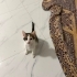 Evde doğan miniklere acil yuva fotoğraf